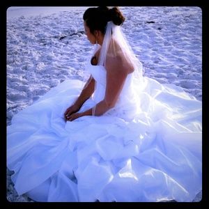 Wedding dress and veil
